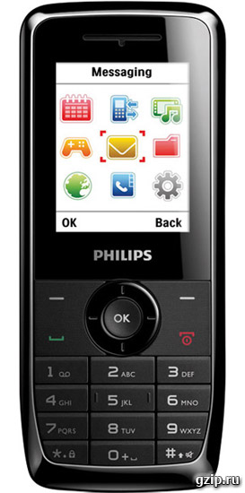 Philips Xenium X100, телефон с двумя сим-картами